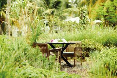 photo Combin Runion / Maurice - Nature & Prestige Ile Maurice