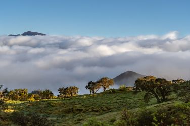 photo Combin Runion / Maurice - Nature & Prestige Ile Maurice