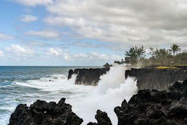 photo Combin Runion / Maurice - Nature & Prestige Ile Maurice
