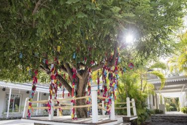 photo Combin Runion / Maurice - Nature & Prestige Ile Maurice