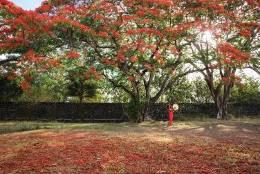 photo Combin Rodrigues / Ile Maurice - Confort et tranquillit Ile Maurice