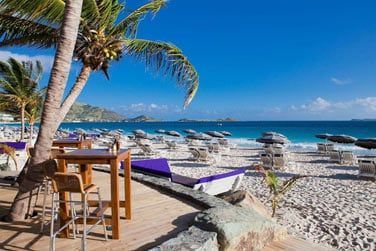 Venez y dguster de dlicieuses saveurs orientales