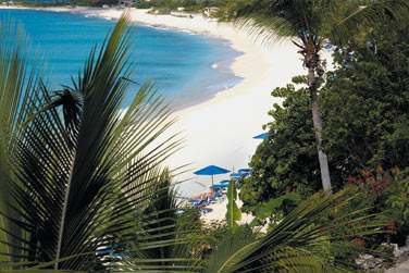 Vue sur la longue plage borde de vgtation luxuriante