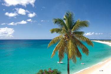 Vue imprenable sur le site de l'htel, la mer des Carabes et la plage de Baie Longue