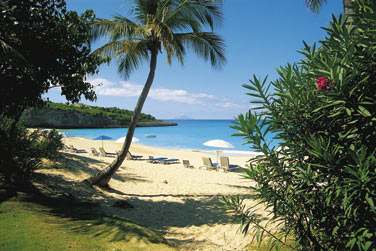 La plage borde de vgtation luxuriante... Un petit coin de paradis !