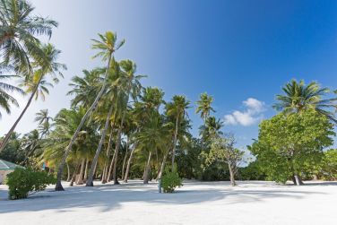 photo Meeru Maldives Resort Island Maldives