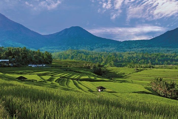 photo circuit bali nature & dcouverte - 12 nuits