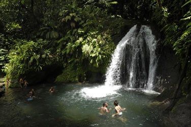 Et plus prcisment en Basse Terre