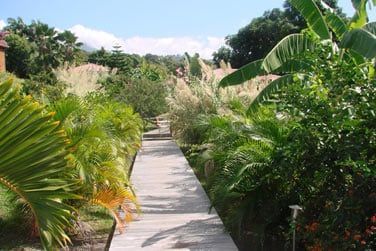 Ce gte class 4 pis se situe  Vieux Habitants