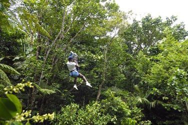Basse Terre est la rgion la plus nature de l'le