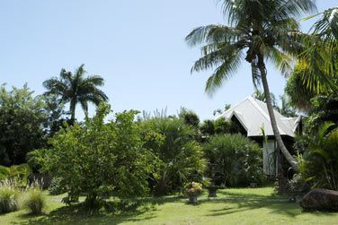 Le jardin luxuriant du Domaine de la Palmeraie