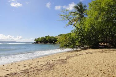 L'une des sublimes plages de Martinique