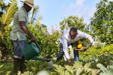 photo LUX* Belle Mare Resort Ile Maurice