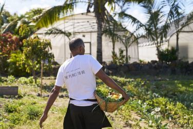 photo LUX* Belle Mare Resort Ile Maurice