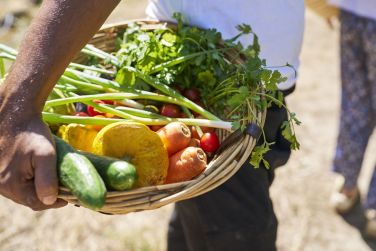 photo LUX* Belle Mare Resort Ile Maurice