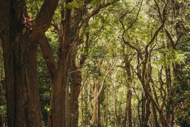 photo LUX* Belle Mare Resort Ile Maurice