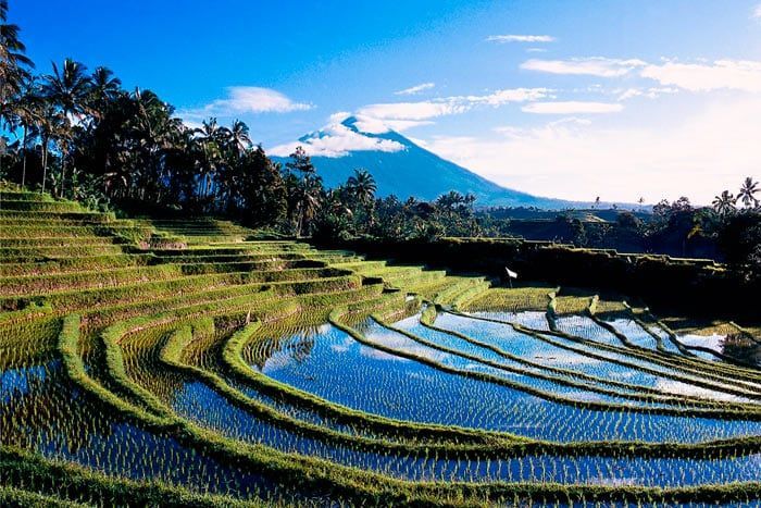 photo circuit bali autrement - 12 nuits