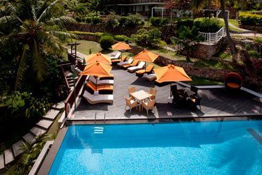 Et lzarder au bord de la piscine