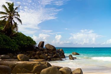 Situ sur une jolie plage sauvage et dserte