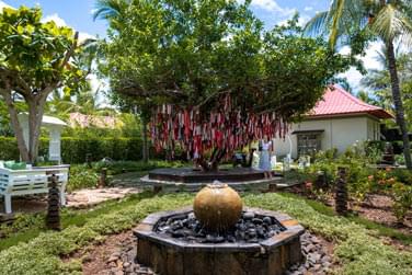 L'arbre pour faire des vux !