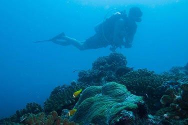 Vous dcourvrirez une faune riche et colore