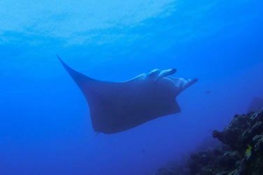 De belles rencontres vous attendent...