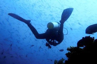 De nombreux sites de plonge sont accessibles  proximit