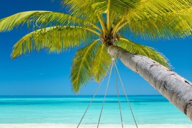 photo LUX* South Ari Atoll Resort & Villas Maldives