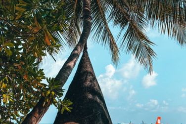 photo LUX* South Ari Atoll Resort & Villas Maldives