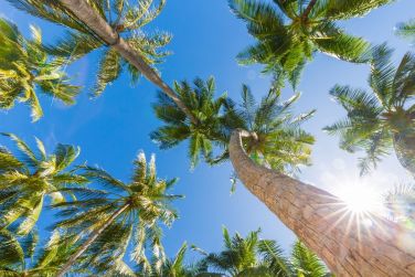 photo LUX* South Ari Atoll Resort & Villas Maldives