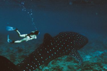 photo LUX* South Ari Atoll Resort & Villas Maldives