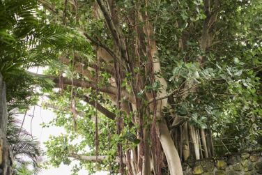 photo Palm Hotel & Spa Runion