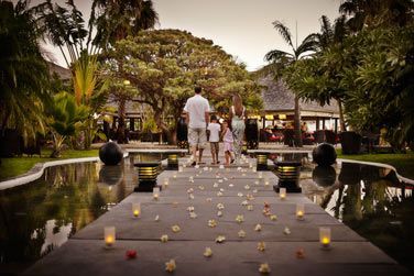 Un environnement authentique au coeur d'un immense jardin de cannes  sucre