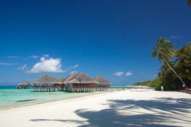 Le Medhufushi Island Resort ravira les amateurs de nature et de tranquillit