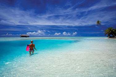 Avec vos palmes, masque et tuba, un spectacle haut en couleurs vous attend !