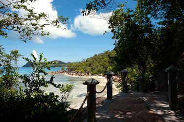 Dcouvrez la magnifique plage d'Anse Veloutiers