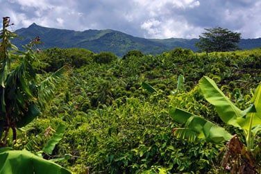 De belles randonnes vou y attendent