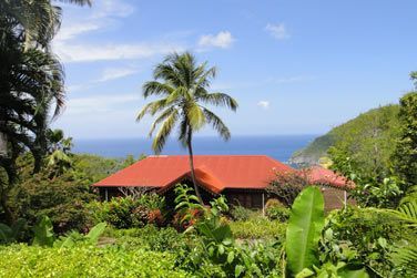 Depuis le jardin Botanique de Deshaies en Guadeloupe, vous pourrez apercevoir l'ancienne maison de Coluche