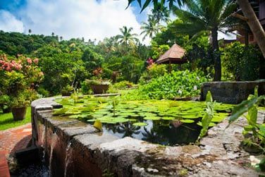 et il y rgne une atmosphre douce et naturelle