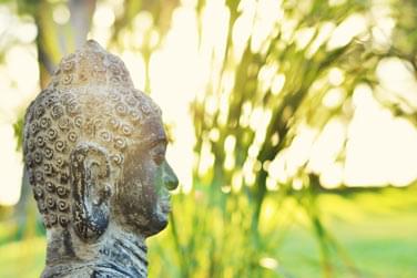Optimisez votre 'zen' grce  nos sances de yoga, organises dans les jardins