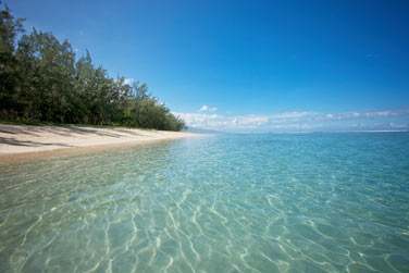 Vous pourrez profiter de moments de dtente et de relaxation au soleil de la Runion !