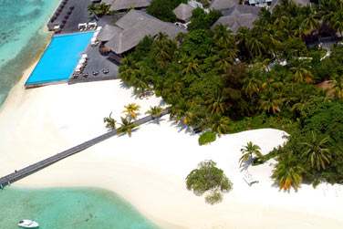 Un crin de verdure au coeur de l'immensit de l'ocan...