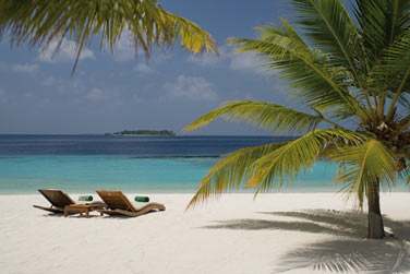 Plages de sable fin, palmiers et lagon turquoise... Un vritable dcor de carte postale