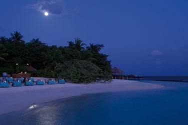 Optez pour le restaurant 'Breeze' pour un dner les pieds dans le sable et composez votre propre menu