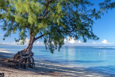 Voici la plage bordant l'Alamanda