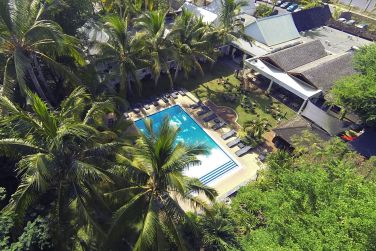 et de palmiers tropicaux