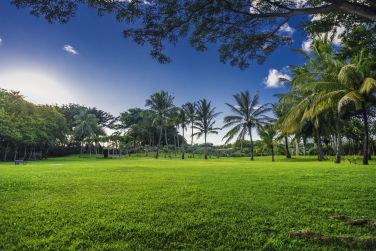 Nature luxuriante environnante dans le Shanti