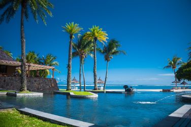 Un vritable lieu dpaysant bord de palmiers tropicaux