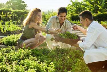 auprs des fermiers et des pcheurs locaux pour proposer une cuisine  base de lgumes et herbes cultivs sur le domaine