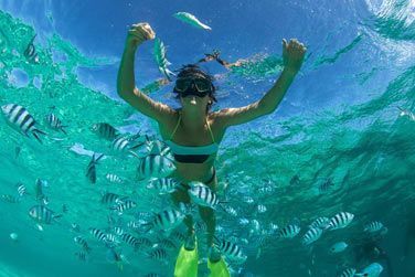 Idal pour faire du snorkeling !